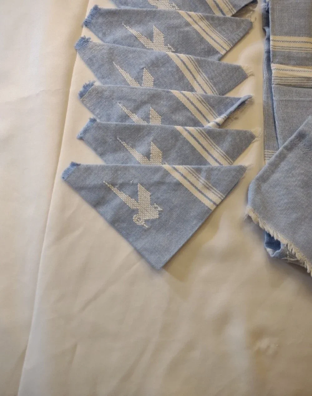 Vintage Hand Woven/Embroidered Lt. Blue Striped Napkin & Table Cloth/Runner Set